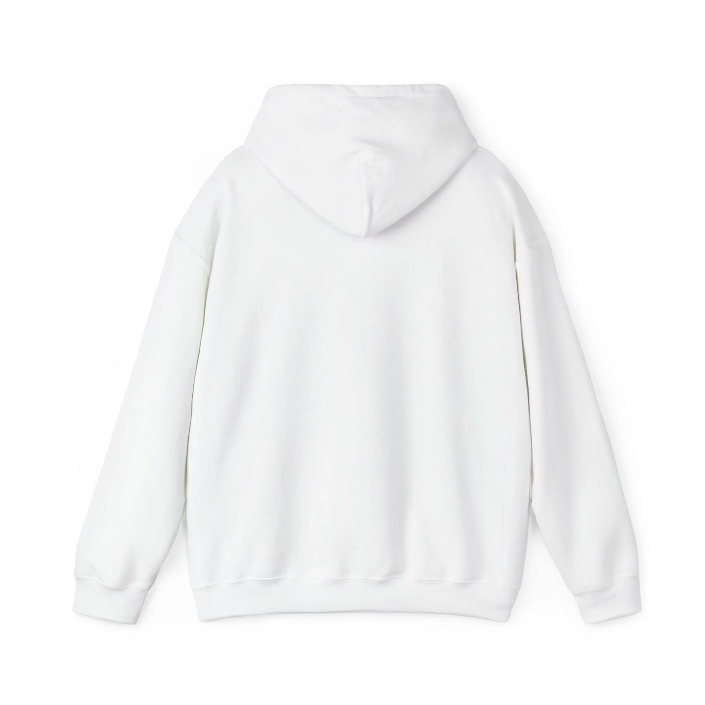 True Crime Canton Collusion Hoodie, Karen Read Murder Trial