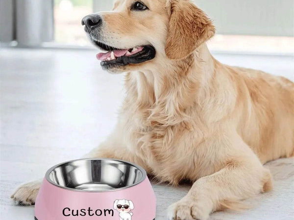 Custom Photo Pet Bowl | Personalized Dog and Cat Food Dish - Iron Phoenix GHG