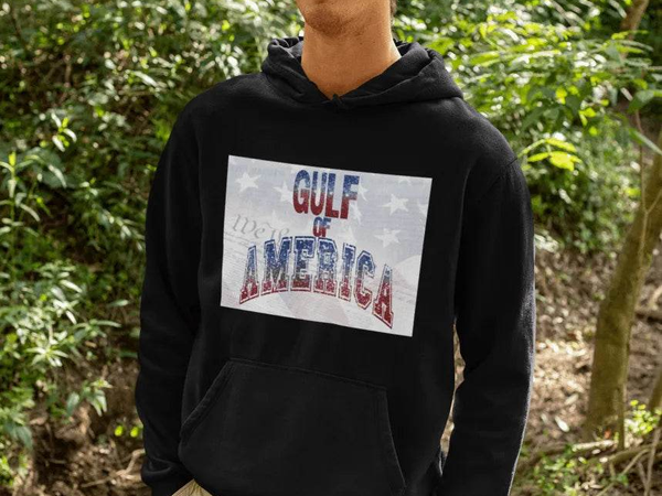 Gulf of America Hoodie | Patriotic Heavy Blend Sweatshirt - Iron Phoenix GHG