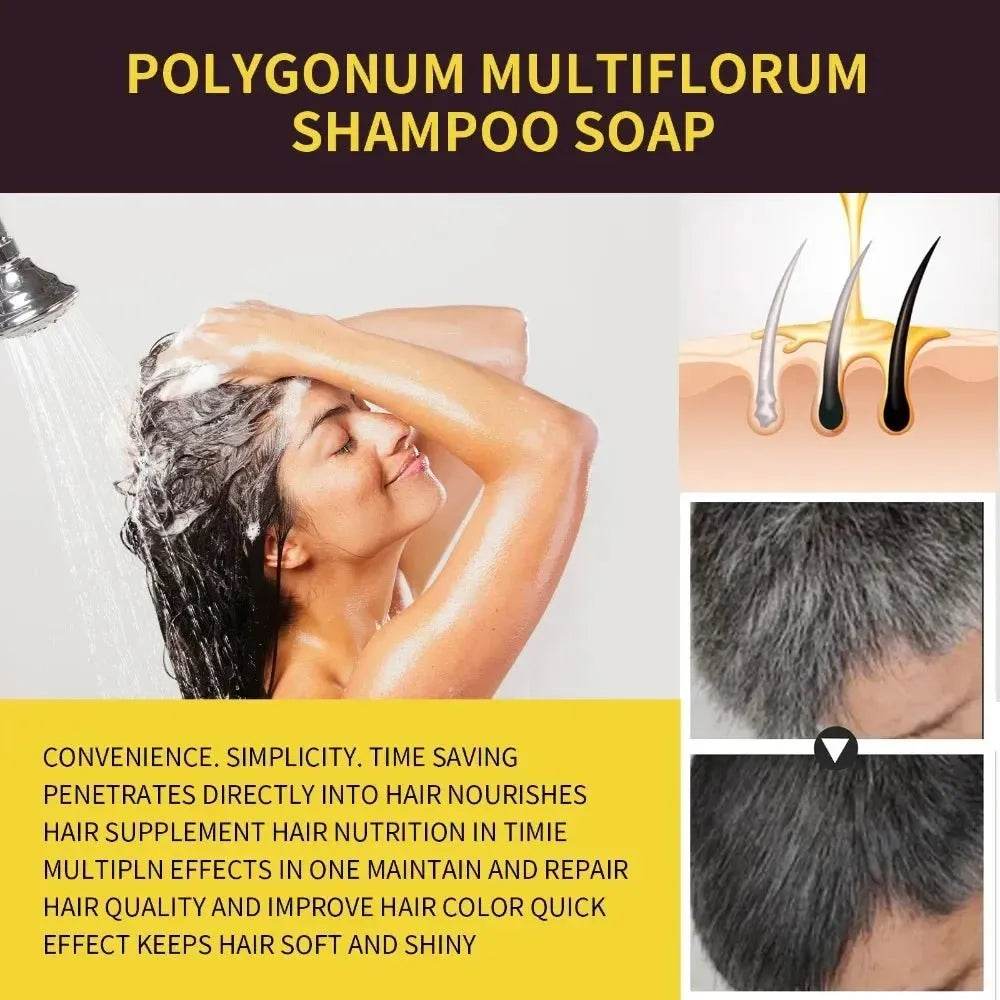 Herbal Hair Dye Shampoo - Dark Brown/Black - Iron Phoenix GHG
