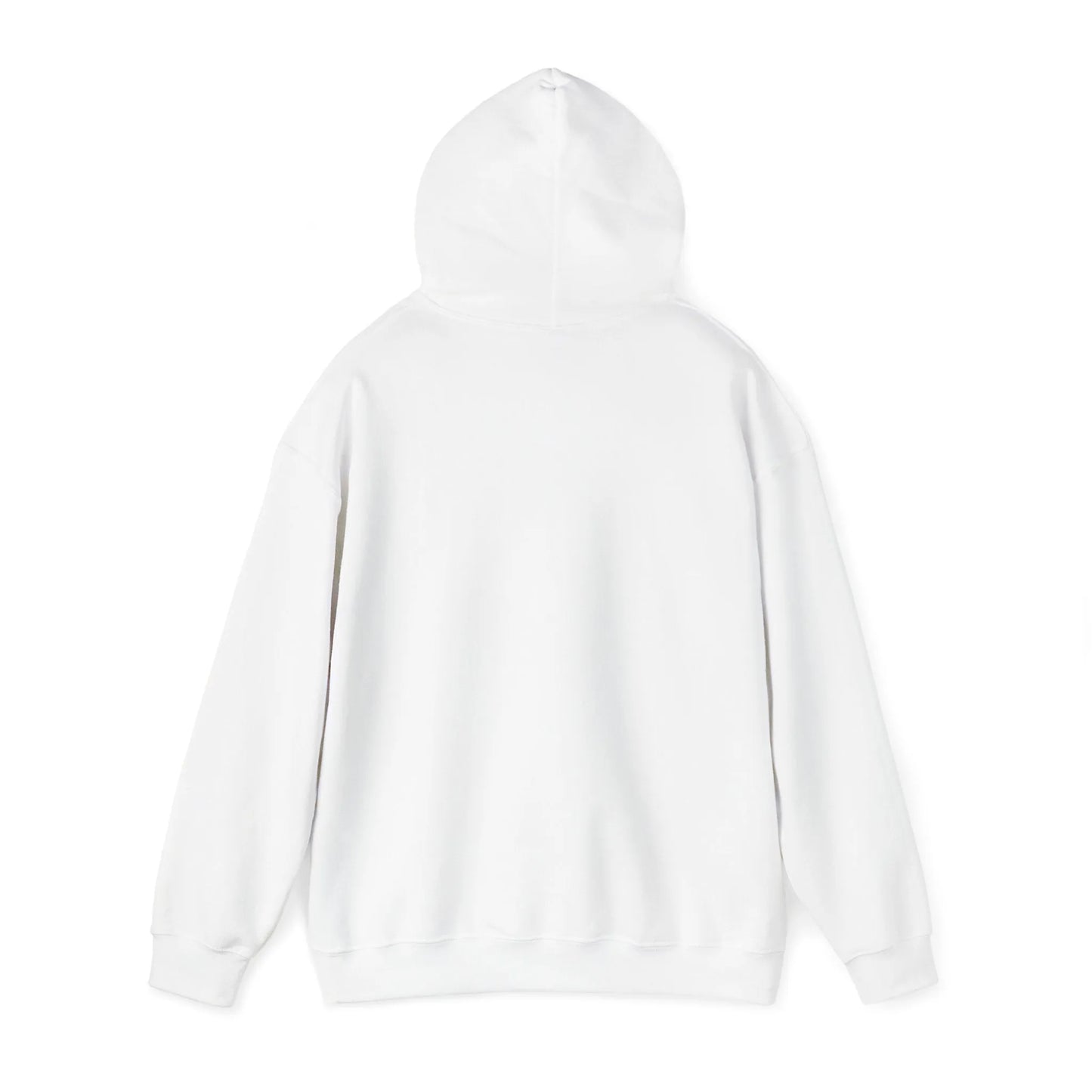 True Crime Canton Collusion Hoodie, Karen Read Murder Trial