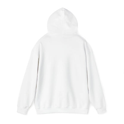 True Crime Canton Collusion Hoodie, Karen Read Murder Trial