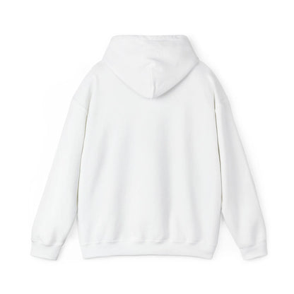 True Crime Canton Collusion Hoodie, Karen Read Murder Trial