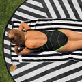 "Neon Grid" One-Piece Swimsuit | Iron Phoenix - Image 2