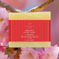 Breathe Clear Soap | Aromatherapy | Hydrating Calm Bar - Image 4
