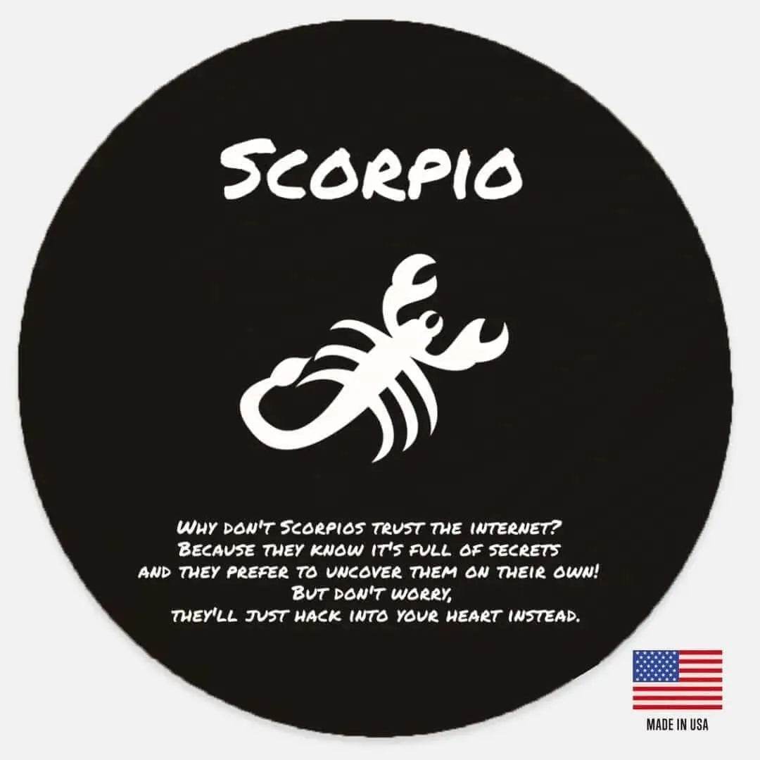 Scorpio Zodiac Humor Wall Sign - Fun Astrology Décor for Scorpio Lovers - Iron Phoenix GHG